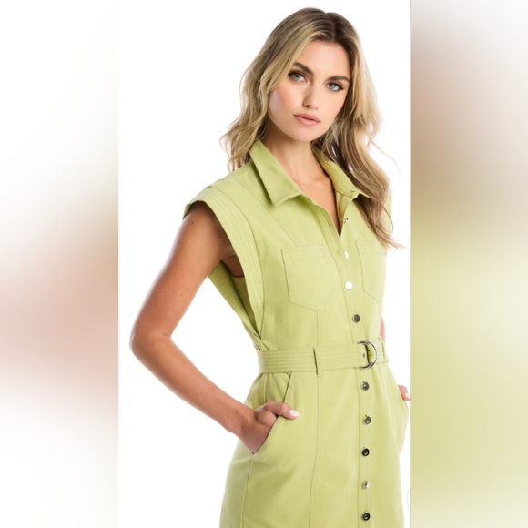 Allison New York Gorgeous Avril Sleeveless Midi Dress In Pistachio NWT - Picture 1 of 5